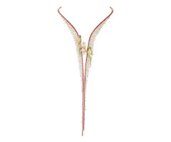 Vbj Parrot Diamond Necklace -IH26031303
