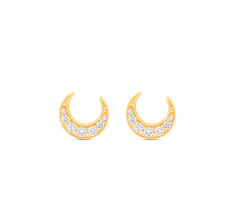 Charms Diamond Ear Wear -JW25100568
